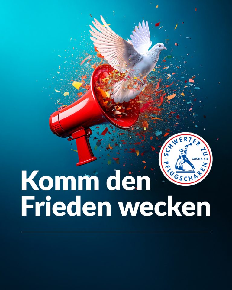 FRI_insta_freifeld_1-1
